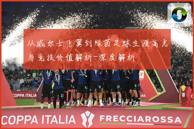 从威尔士飞翼到绿茵足球生涯高光与竞技价值解析-深度解析