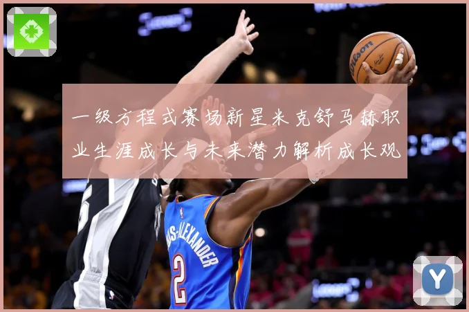 一级方程式赛场新星米克舒马赫职业生涯成长与未来潜力解析成长观察-深度解析