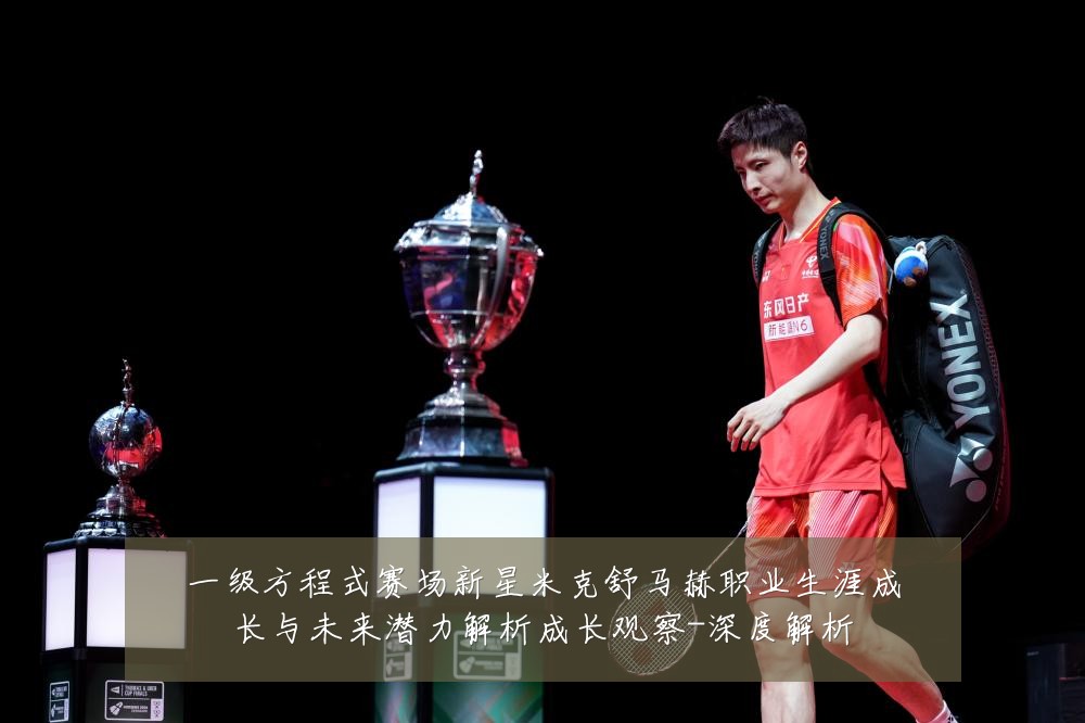 一级方程式赛场新星米克舒马赫职业生涯成长与未来潜力解析成长观察-深度解析